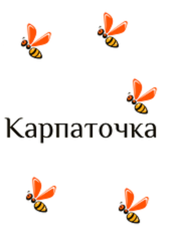 Реализуем Пчеломатки Карпатской породы Вучковского типа 2016