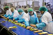 Робота в Словаччині на хлібокомбінаті,  зарплата 1200 Євро на місяць