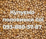 Постійно купуємо половинки сої. Вигідні умови співпраці